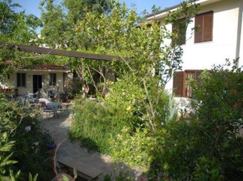 Misafir Evi Hotel Kayakoy ภายนอก รูปภาพ